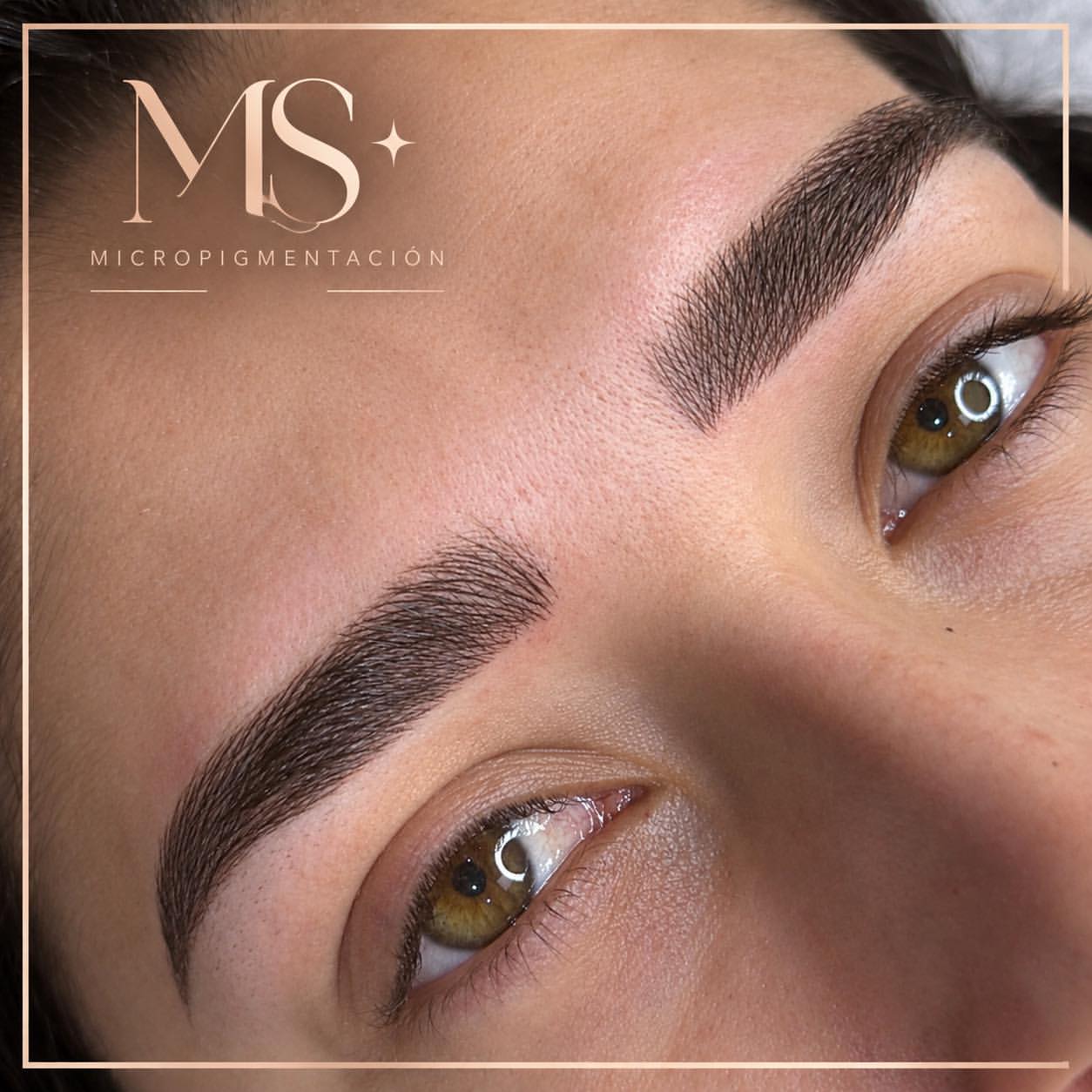 Microshading & Cejas Híbridas